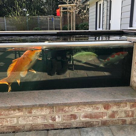 Fewo 3 Nortorf エクステリア 写真